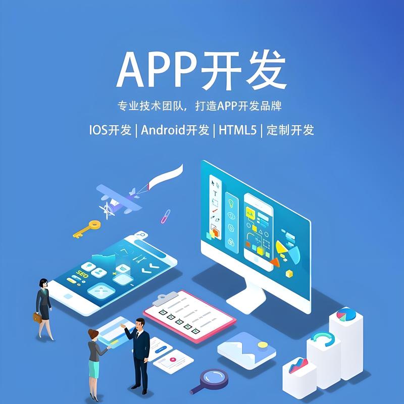 山西软件开发：定制您的信息化桥梁
